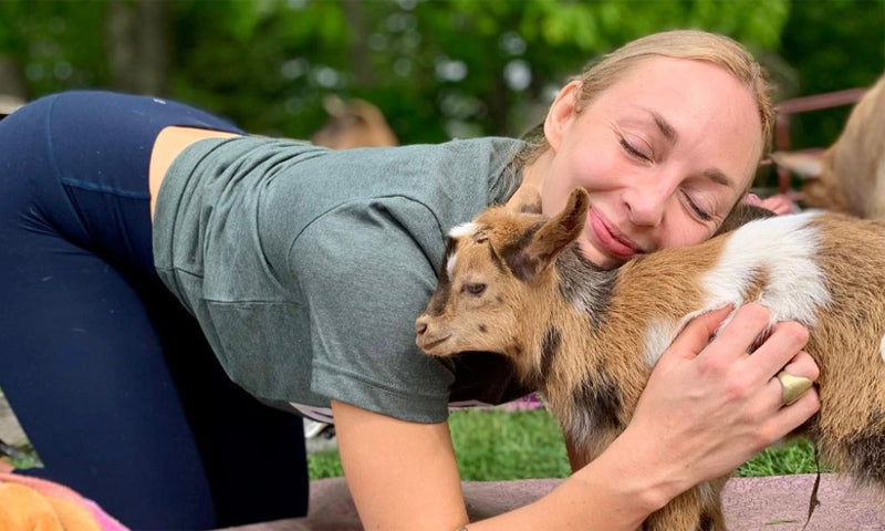 Goat Yoga: Finding Zen Amidst Bleats and Baaahs